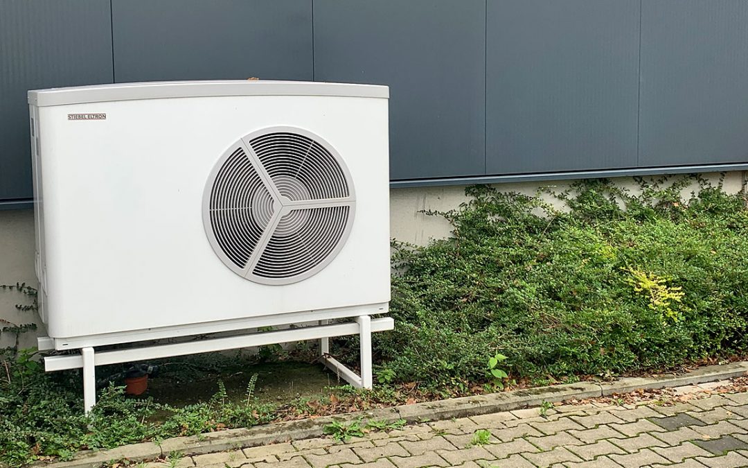 EV Logistik setzt Signal für Umweltschutz: Umstellung auf 100% Ökostrom ab Oktober 2023